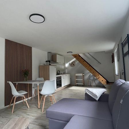 杜伊斯堡Oase Im Gruenen Hinterhof, Eg, Ruhe, Terrasse, Carport, Free Paytv, Kaffee&Tee, Fahrraeder公寓 外观 照片